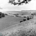 Wold's Farm, Settrington